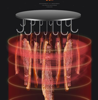 Séchoir à saucisses rotatif à 2 niveaux en acier inoxydable à usage commercial, machine de séchage suspendue, déshydrateur alimentaire
