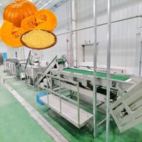 Ligne de production de purée de citrouille et de carotte de haute qualité Machine de traitement de farine de fruits et légumes