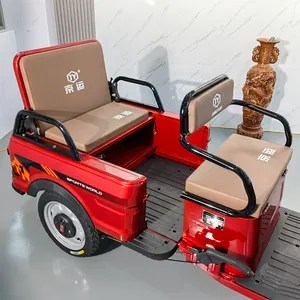 850W Rickshaw Factory Customization With Big Power And Max Loading Trike New Asia Auto Rickshaw For Cargo Electric Tricycle