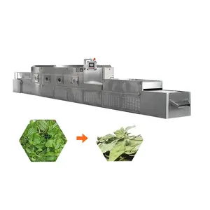 Industrial Tunnel Herbs worm Microwave Drying Equipment Microwave Dryer Price