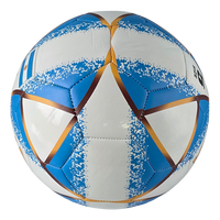 Bola Sepak Latihan Desain Argentina Cetak Digital Kustom Ramah Lingkungan Tahan Lama Nomor 5 Meersee
