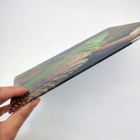 Vente en gros de feuilles acryliques/PMMA/PVC sur mesure, 3 mm/8 mm/20 mm, diffusion de la lumière, résistantes aux UV, gravure et découpe