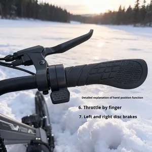 大人の電動トラックスノービークル200ccエンジンアンチスキッドデザイン48V冬季スノーボードとそり用 - Product Image 5