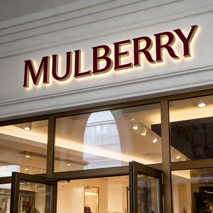 Enseigne LED personnalisée avec logo rétroéclairé pour les entreprises, les magasins, utilisation en extérieur, acrylique, acier inoxydable, installation facile, signalétique 3D - Product Image 3