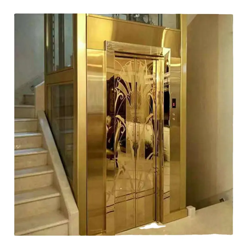 Lüks tasarım altın Metal doku kabin Villa asansör ev yolcu asansörler