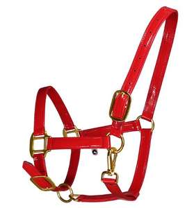 Kettingriem Voor Kleine Honden, Zware Metalen Hondenriem Duurzaam Sterk Kauwbestendig Puppyriemen - Product Image 4