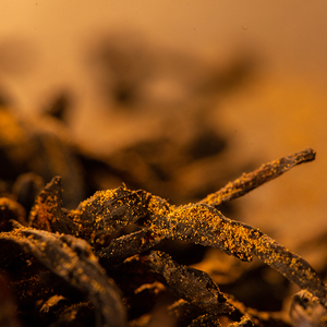 China Liupao tibetano <span class=keywords><strong>Fu</strong></span> Anhua té oscuro suave cultivado orgánico oscuro té puro orgánico té oscuro orgánico - Product Image 5