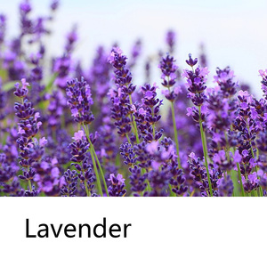 Savon Solide au Lavande Ingrédients Naturels Adoucissant & Lissant Anti-Pelliculaire Huile Essentielle Savon Fait Main pour Tous Types de Cheveux OEM - Product Image 4