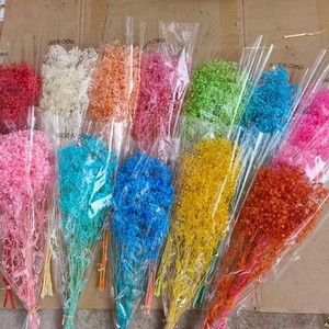 Fiori Secchi Preservati, Bouquet Eterno per Matrimoni, Composizioni Floreali Fai-da-Te per Pasqua, San Valentino, Festa della Mamma, Natale - Product Image 5