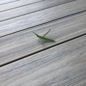 Planches de <span class=keywords><strong>terrasse</strong></span> en WPC à grain de <span class=keywords><strong>bois</strong></span> brossé, modernes et étanches, pour l'extérieur, idéales pour le jardin, la cuisine, la salle de bain et le salon (OEM) - Product Image 1