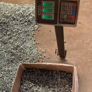 Clavos galvanizados para techos con tapa de paraguas grande de muestra de suministro, clavos de cabeza corrugada especiales, Varillas roscadas para techos de <span class=keywords><strong>acero</strong></span> de color - Product Image 5