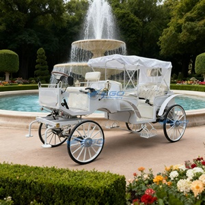 2026 Luxe Voiture de Mariage à Quatre Roues, Voiture de Tourisme, Voiture de Tourisme de Noël, Calèche Électrique à Chevaux à Vendre - Product Image 1
