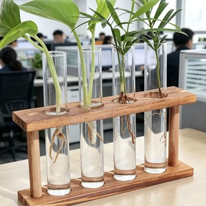 Support pour tubes à essai Tianhong, 4 trous, diamètre 25 mm, hauteur 150 mm, en verre, pour décoration intérieure, culture hydroponique, arrangement floral - Product Image 2