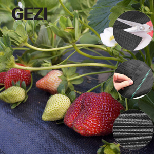 Hot sale Weed Mat PP PE Woven Plastic Weed Control Block Mat Fabric Cloth Weed Barrier Non Woven For Agricultural Ground Cover