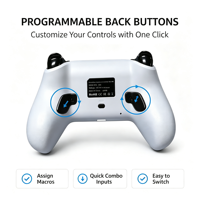 Manette de jeu sans fil RGB lumineuse rechargeable 1000 mAh pour PS5/PC/TV/Steam, faible latence, double moteur de vibration, boutons programmables