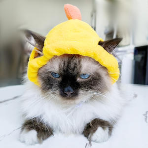 キュートなテディベア コスチューム ひまわり ペット用ヘッドウェア ハロウィン ウィッグ 帽子 犬猫用 プリント柄付き 様々なスタイル - Product Image 6