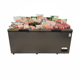 Congélateur horizontal sous comptoir pour homards et thons, équipement de réfrigération professionnel et domestique - Product Image 1