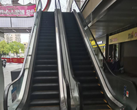 Prezzo a buon mercato VVVF controllo scala mobile commerciale casa scale mobili costano 30 gradi 1000mm passo larghezza