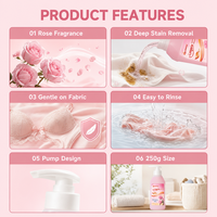 Lessive enzymatique OEM 250g pour lingerie, détachant puissant pour sous-vêtements, liquide de nettoyage doux 5%-15% pour ingrédients CN