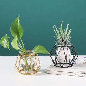 Wholesale Hydroponic Plant Vases Flower Pot Transparent Vase Iron Geometric <b>Frame</b> Glass Tank Tabletop Plants Home Bonsai Decor - Product Image 3