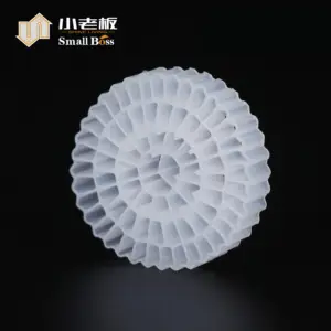 PE64 K5 mbbr media densità di colore bianco 0.94-0.97g/cm3 progetto RAS in plastica HDPE