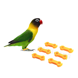 Finch Pigeon tobillo anillo corrector paloma anillo pierna anillo - Product Image 6
