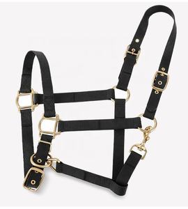 Collier <span class=keywords><strong>de</strong></span> tête <span class=keywords><strong>de</strong></span> licou <span class=keywords><strong>de</strong></span> cheval en PVC miniature <span class=keywords><strong>de</strong></span> couleur noire avec logo personnalisé imperméable Mini poneys vente en gros <span class=keywords><strong>de</strong></span> licou <span class=keywords><strong>de</strong></span> cheval personnalisé - Product Image 1