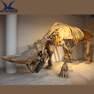 Intérieur Extérieur Musée Fossile Décoration Répliques <span class=keywords><strong>de</strong></span> <span class=keywords><strong>Squelette</strong></span> <span class=keywords><strong>de</strong></span> <span class=keywords><strong>Dinosaure</strong></span> Triceratops en Fibre <span class=keywords><strong>de</strong></span> Verre Grandeur Nature - Product Image 3