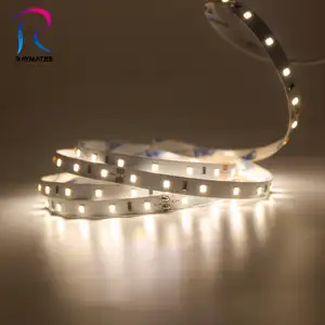 RAYMATES 2835 led 스트립 라이트 ce roh 5 년 보증 3000k 4000k 6000k 24v 12v led 스트립 라이트