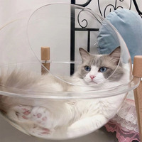 Lit de hamac de chat suspendu en acrylique, cabane de cocon à bulles transparente pour montage sur fenêtre, nacelle de couchage moderne pour animaux de compagnie avec coussin doux