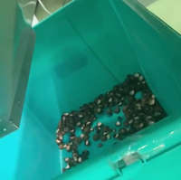 Litouwie Kleursorteermachine Voor Bessenriemtype Bosbessenkleurensorteermachine Voor Bevroren Fruit Met Ce-Certificering