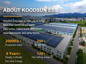 <span class=keywords><strong>DDP</strong></span> spedizione rapida 10kWh 15kWh 20kWh Ground Eco LV batteria solare 48V Deye Solis Goodwe Growatt batteria Smart compatibile - Product Image 6