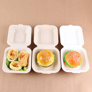 Biodegradable disposable food clamshell/3 5 compartments food box/tray