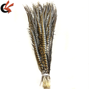 Vente en gros Reeves Big Pheasant Feathers Long Ringneck Pheasant Tail Teint pour Carnaval <span class=keywords><strong>Samba</strong></span> Performance Dress Ramadan Graduation - Product Image 3