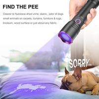 USB-C en aluminium rechargeable 18650 26650 AAA alimenté par batterie lumière noire filtre UV lampe de poche 365nm lampe de poche ultraviolette