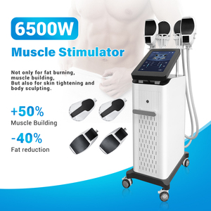 Appareil de remodelage corporel Tesla à 4 poignées, 6500W, pour raffermissement cutané et stimulation musculaire, avec option pour le plancher pelvien - Product Image 4