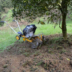 Nouveau désherbeur multifonction, Micro-timon, <span class=keywords><strong>petit</strong></span> arracheur rotatif, <span class=keywords><strong>scarificateur</strong></span> à essence agricole - Product Image 4