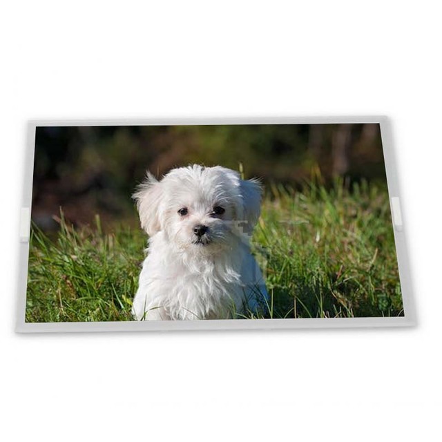 15.4inch 1680*1050 Lcd Screen LTN154P2-L05