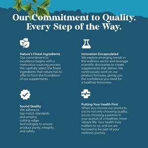 Pílulas Nutricionais Alpha Brian Personalizadas OEM em Promoção, Suplemento para Aumentar o Foco e a Boa Memória - Product Image 4