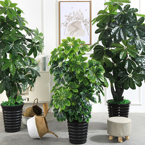 Gros Grand Arbre à Monnaie Artificiel Vert, Ornements de Bonsaï sur Pied pour Salon et Bureau - Product Image 3