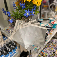 Bolsas con cierre de cremallera de PVC esmerilado PE reciclable con logotipo personalizado Embalaje de plástico pequeño para collares Anillos de joyería Pendientes y gafas