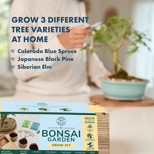 Kit de culture Bosai Garden Grow Kit Republic Jnr, kit de démarrage pour décorer et planter, ensemble d'art de jardinage DIY pour enfants - Product Image 5