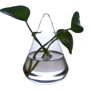 Lọ thủy tinh cho terrariums nhà máy thủy tinh terrariums để bán đám cưới bàn Bình trang trí nội thất hình học thủy tinh hồ cạn