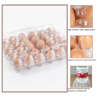 Vente en gros d'usine de barquettes à œufs en plastique transparent PET, boîte à œufs de poulet, emballage réutilisable pour 30 œufs