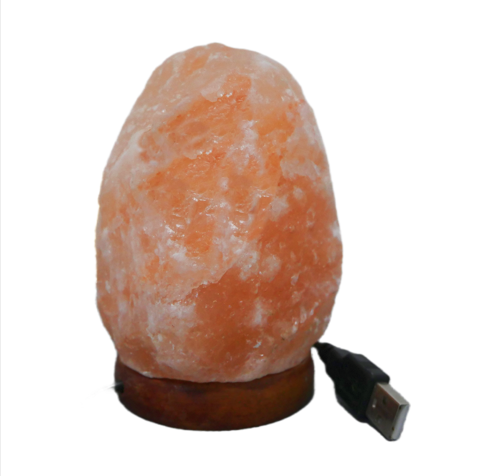 Forme naturelle de lampe de sel de l'himalaya d'usb