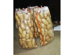 El nuevo material de la bolsa tejida transparente se puede personalizar para alimentos, cebollas, patatas y otras verduras - Product Image 4