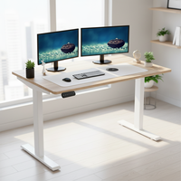 Bureau de travail électrique à hauteur réglable avec mémoire, design moderne sur mesure, vente en gros
