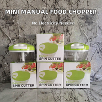 Mini hachoir manuel portable en plastique pour aliments, ail, oignon, fruits et légumes