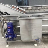 Nieuw product Automatische bubbeltype groentewasmachine Bladgroente Fruit Reinigingsapparatuur