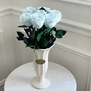 Vente en gros bouquet de fleurs immortelles 7pc infinity rose vénus éternel rosas preservadas et fleur de roses conservées avec tige pour cadeaux